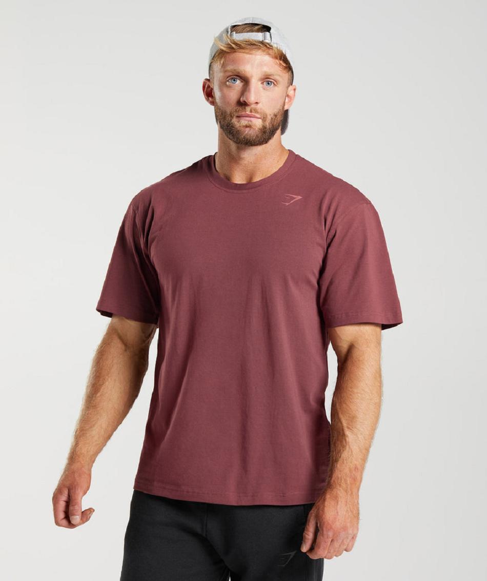 T Shirts Męskie Gymshark Power Różowe Brązowe | PL 3761TCE